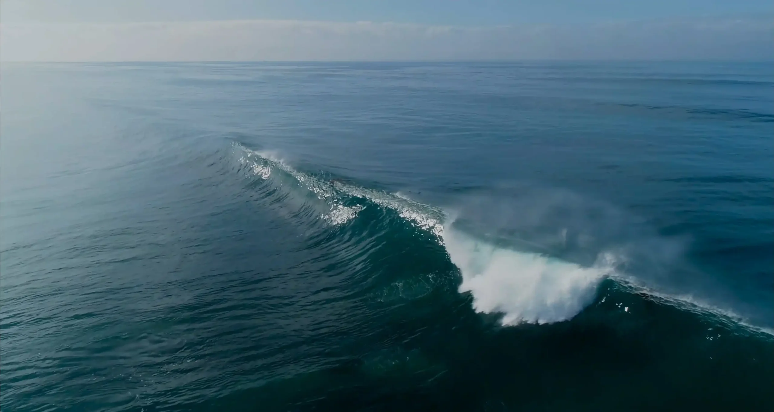 Oceanwalker Yachts Image